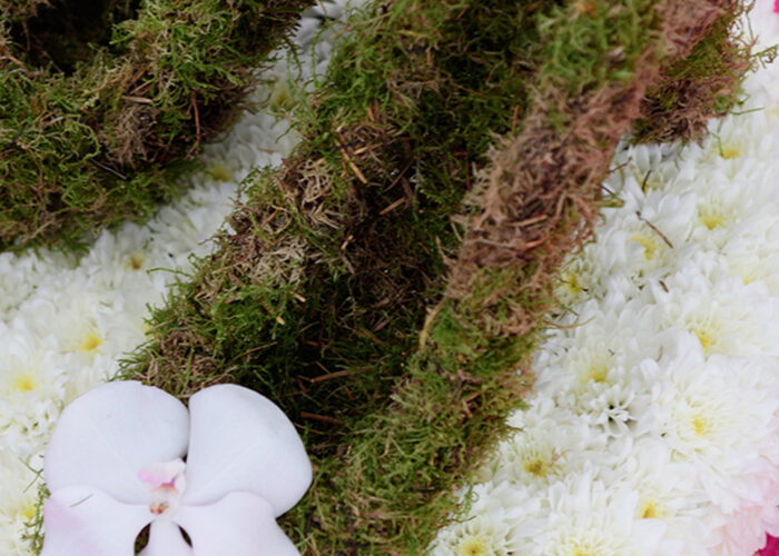 Florist Corporate Flowers Shoes