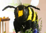 Florist Bee Square2