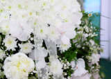 Florist Corporate Flowers Wedding Dress