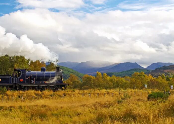 Cr no 828 approaches kinchurdy bridge against cairngorms backdrop 4 10 12 edit