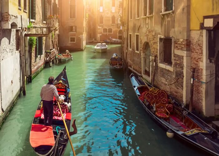 Venice titan