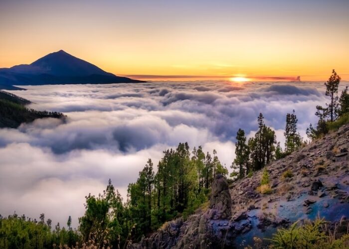 La Palma