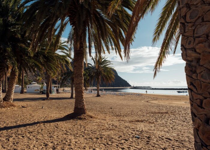117 Tenerife