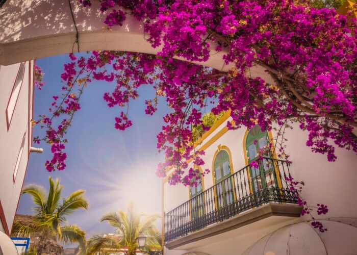 16 Gran Canaria