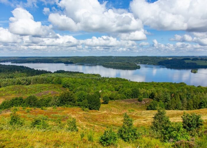 2023 08 02 AARHUS SELECTED EDITED 4429 Medium