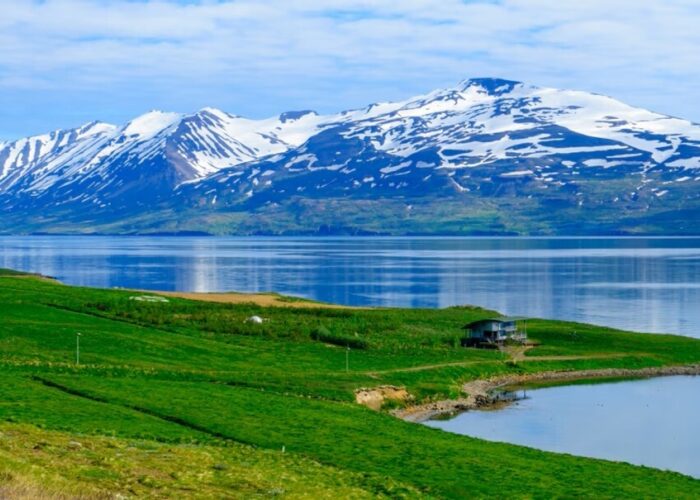 4 Eyjafjordur cruise by