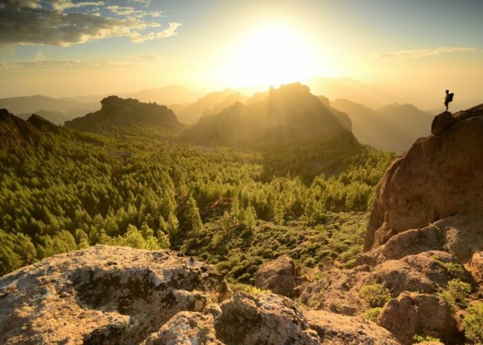 Canaries Gran Canaria 1 All rights
