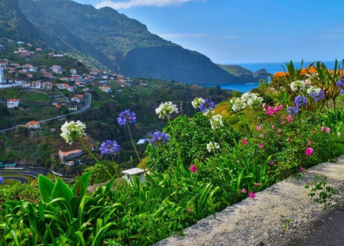 Flowers Madeira Portugal Getty All rights