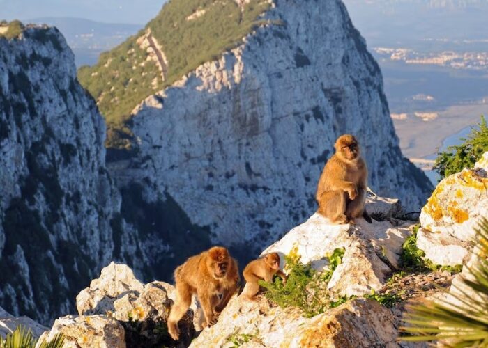 Central Mediterranean Discovery
