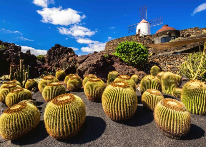 Canary islands - 12 nights