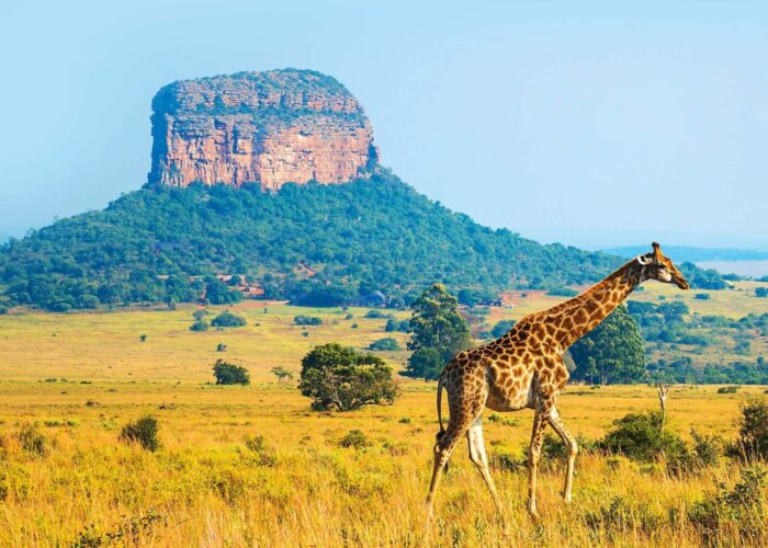 South Africa Rivieria July26 5