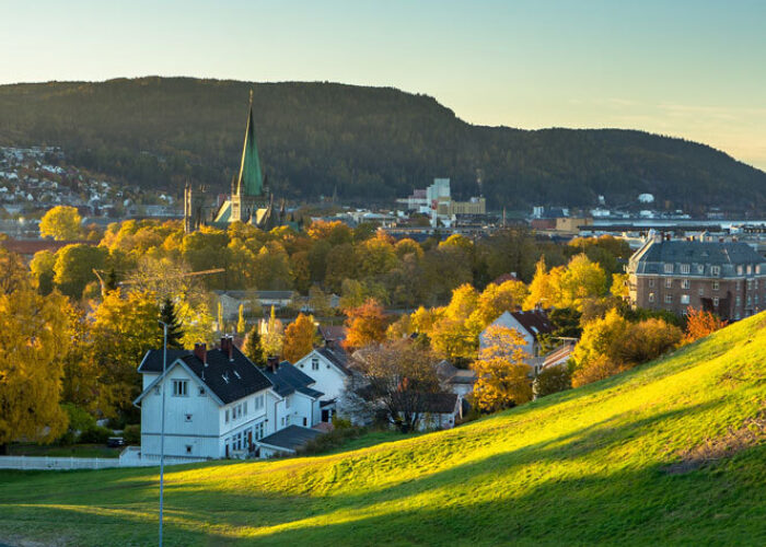 Trondheim banner