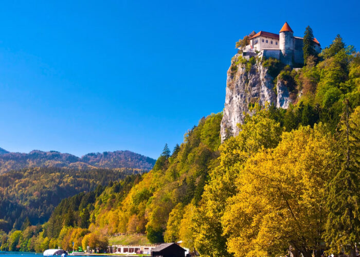 Bled 815 12