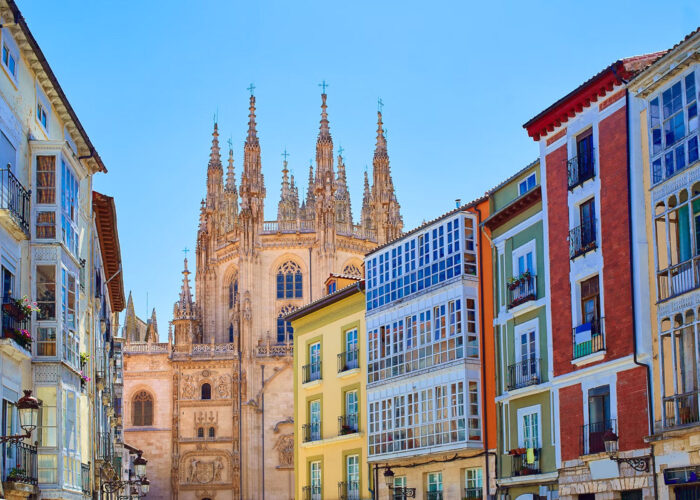 Burgos 13317 6