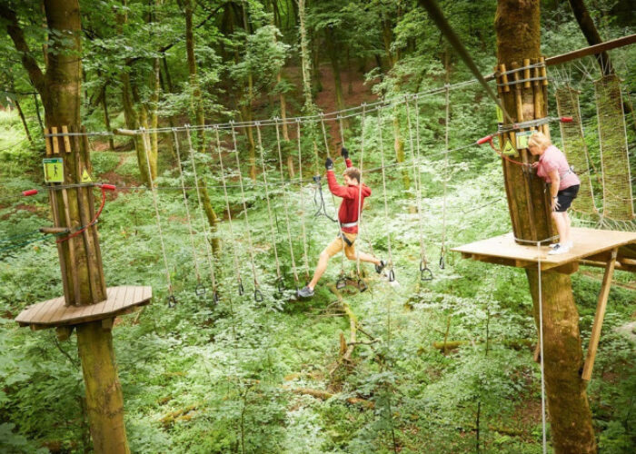 Go ape 3