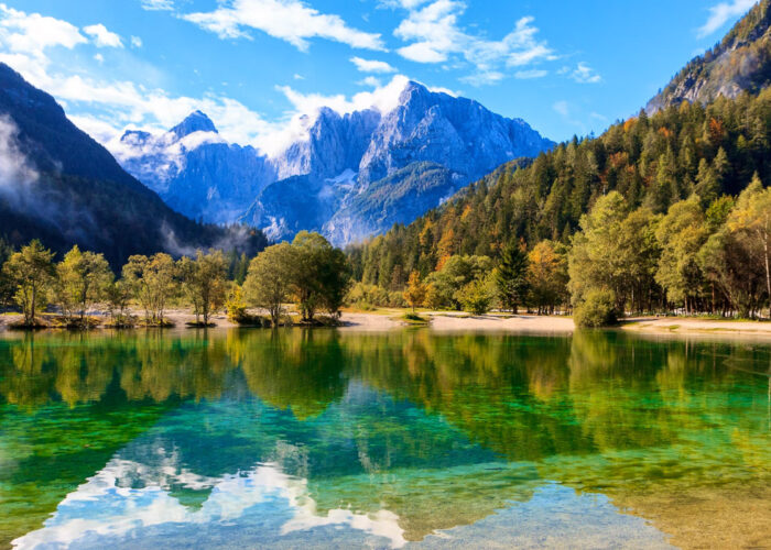 Kranjska 13538 7