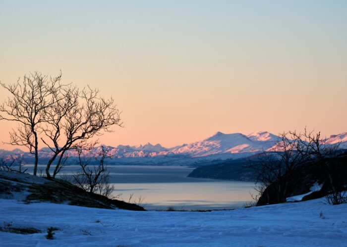 Oliver streit T4alw Zj Zz68 unsplash