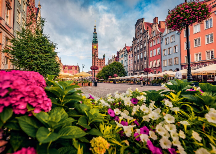 Shutterstock 2498679237