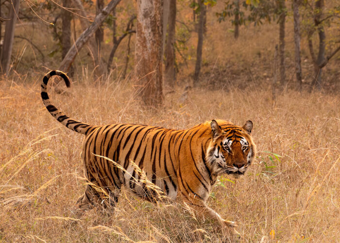 Shutterstock 2514998437