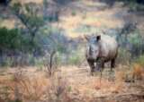 Kruger National Park resized