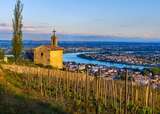 Getty Images 1957696087 Grand cru vineyard and Chapel of Saint Christopher Tain l Hermitage Rhone Alpes France jpg