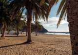 117 Tenerife
