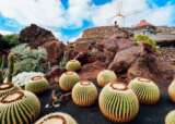 15 Lanzarote