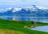 4 Eyjafjordur cruise by