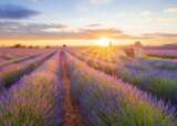 8 Thinkstock Photos 543334828