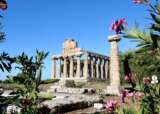 Getty Images 2234516499 Paestum