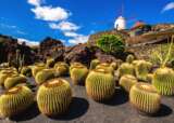 Lanzarote Cunard Getty Images 654210712