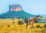 South Africa Rivieria July26 5