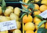 Limoncello sorrento
