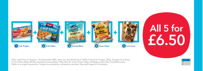 Image fof offer 5 freezer fillers for £6.50!
