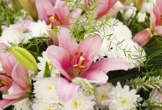 Photo of Closeup  Background From Different Flowers  Pink Lilies And White Chrysanthemums Smaller for panel