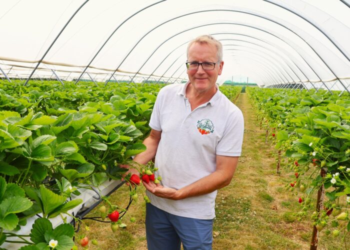 WILLOWS FARM LOVE LOCAL PIC