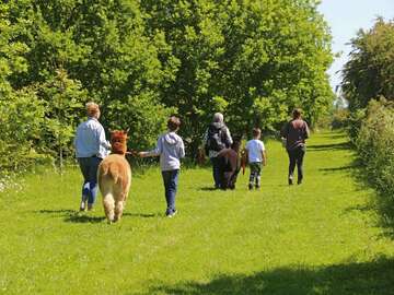 10% off alpaca trekking at J and J Alpacas