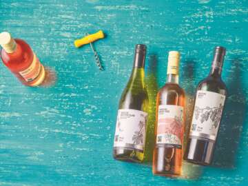 Vineyard Tour and Tasting as South Ormsby Estate