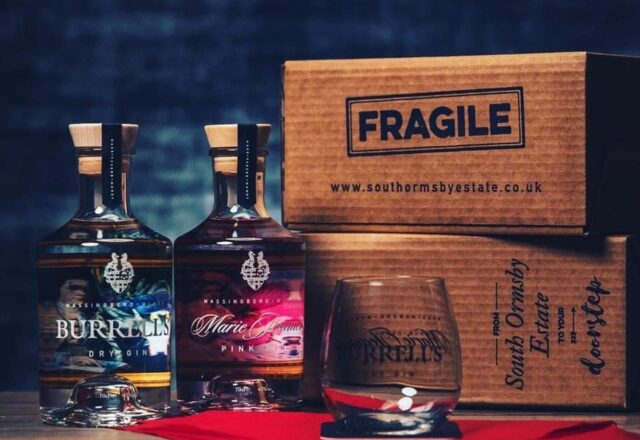 Artisan Gin Experience at South Ormsby Estate image