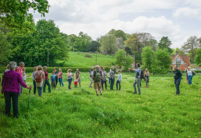 £12pp Bat Walk at South Ormsby Estate image