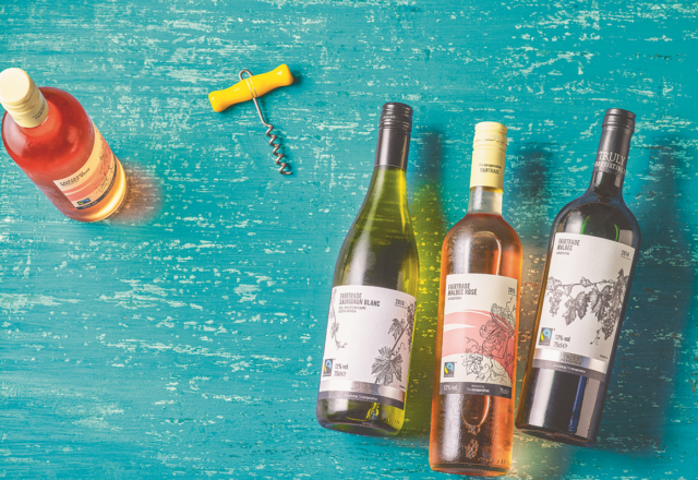 Vineyard Tour and Tasting as South Ormsby Estate image