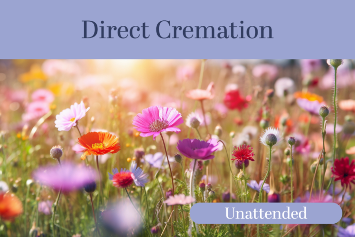 Direct cremation