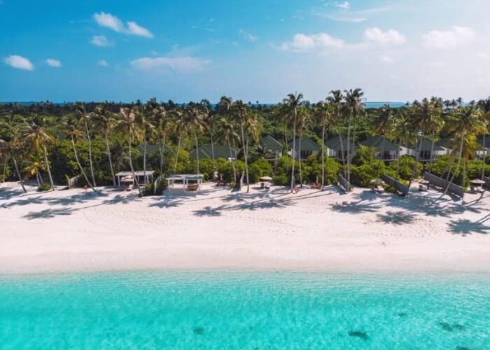 Preview image for Holiday comp image