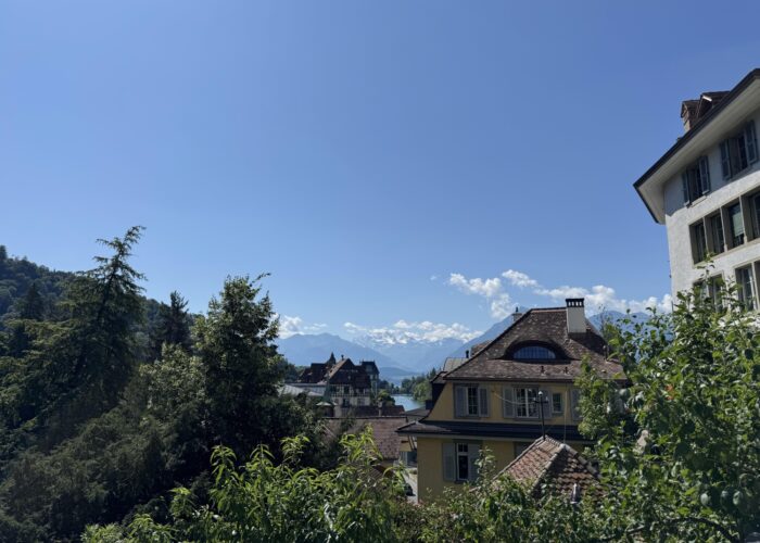 Image 15