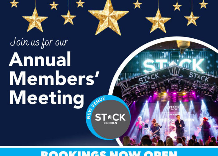 Preview image for Amm