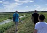 Walking 1