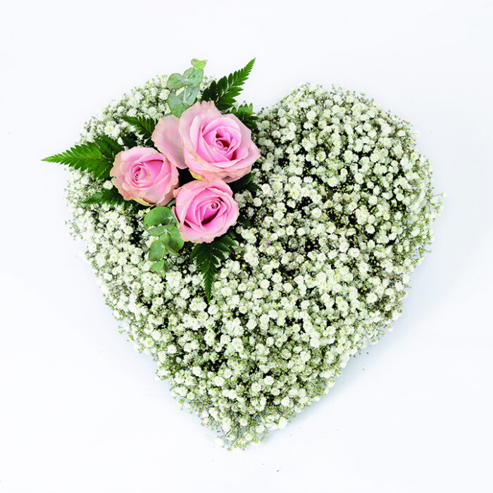 Gypsophila Heart