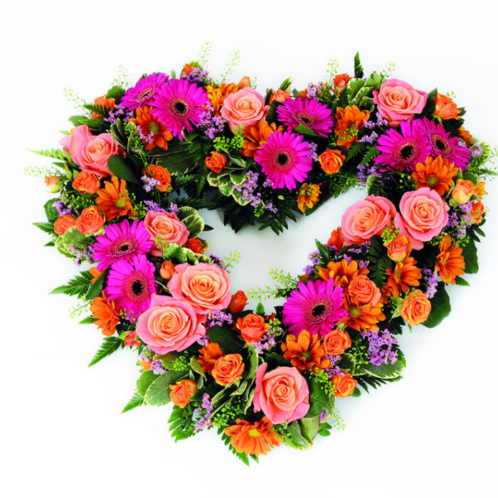 Germini Open Heart
