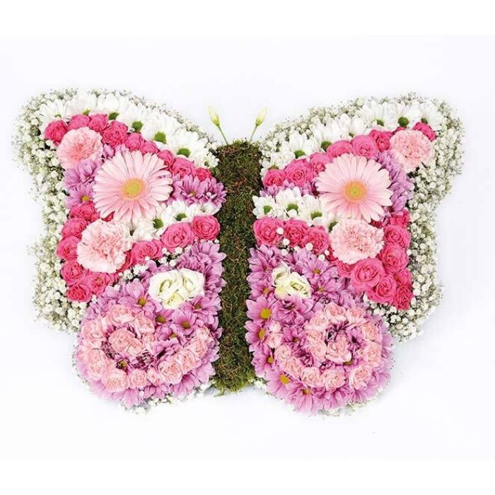 Butterfly Tribute