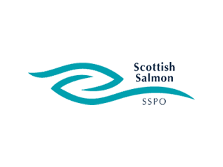 The SSPO